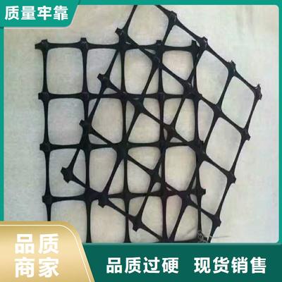 鋼塑土工格柵 現代巖土工程的可靠增強材料